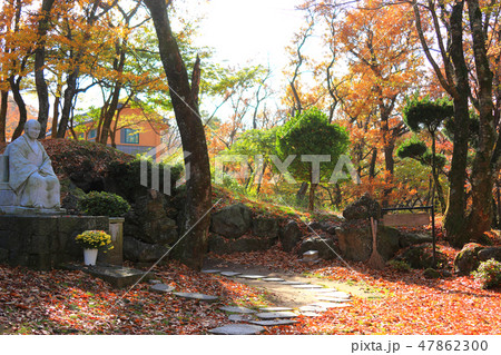 風景 観光 風 47862300
