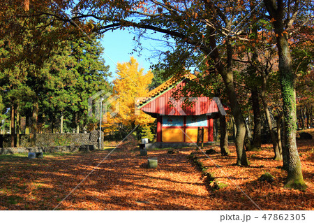 風景 観光 風 47862305