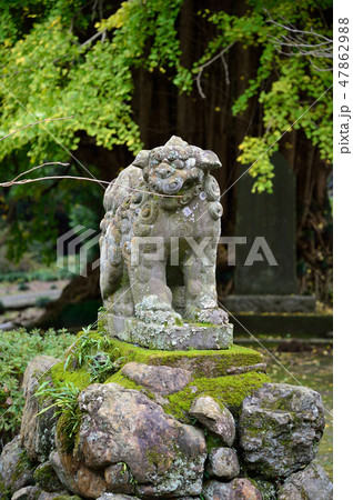 巌殿山正法寺の狛犬 47862988