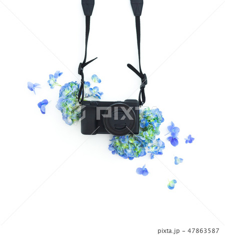 Concept with photo camera and blue flowers 47863587