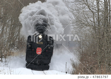 SL冬の湿原号 SL冬の湿原号 47863797