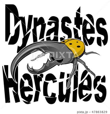 ヘラクレスオオカブトムシ Hercules Beetle 47863829