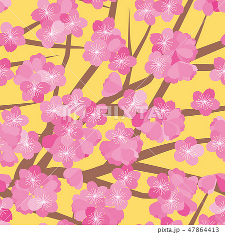 パターン 花柄 カンヒザクラ 寒緋桜 黄 47864413