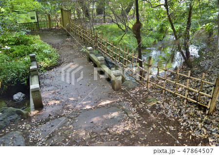 岡本静嘉堂緑地 世田谷 東京 岡本静嘉堂緑地 世田谷 東京 47864507