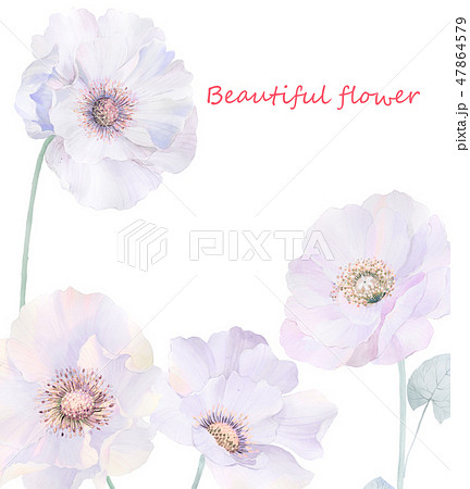 透明水彩 水彩画 花 47864579