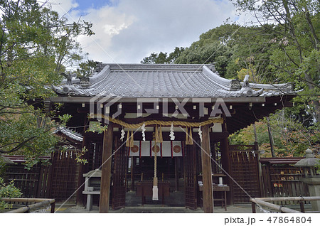 新熊野神社 京都 東山 新熊野神社 京都 東山 47864804