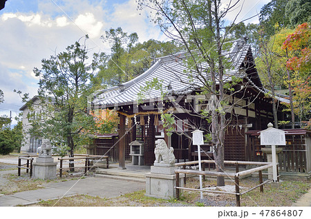新熊野神社 京都 東山 新熊野神社 京都 東山 47864807