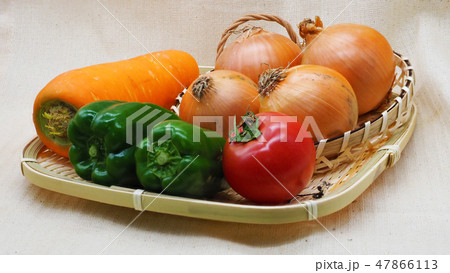 野菜の素材(たまねぎ&ニンジン&トマト&ピーマン:オーガニック) 野菜の素材(たまねぎ&ニンジン&トマト&ピーマン:オーガニック) 47866113