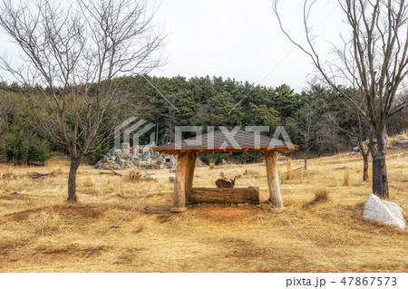 deer species habitat space deer species habitat space 47867573