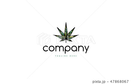 Cannabis Leaf green shade vector logo image 47868067