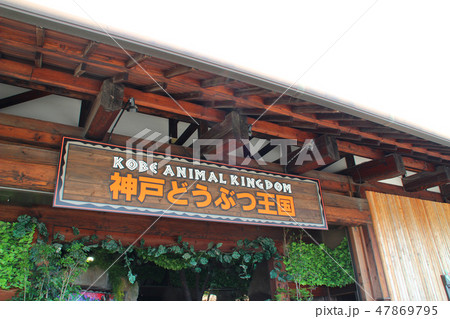 神戸どうぶつ王国/兵庫県神戸市中央区港島南町7 神戸どうぶつ王国/兵庫県神戸市中央区港島南町7 47869795