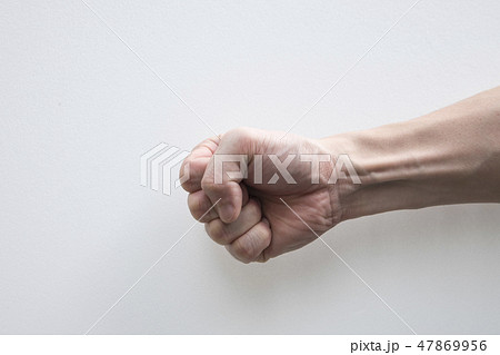 手 両手 手の上 47869956