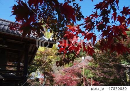 定光寺 紅葉散歩の写真素材