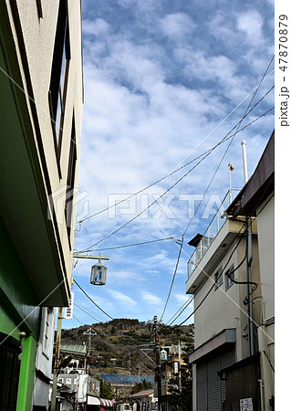 小田原・曽我梅林 小田原・曽我梅林 47870879