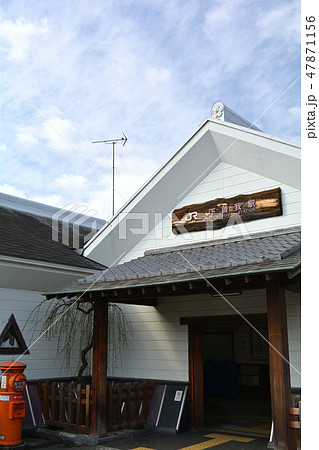 小田原・曽我梅林 小田原・曽我梅林 47871156