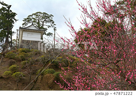 日本100名城・小田原城 47871222