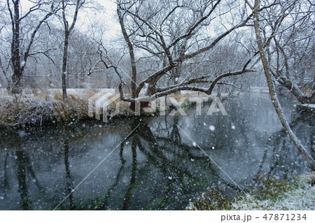 雪が降る安曇野：蓼川：大王わさび農場　　安曇野市 47871234