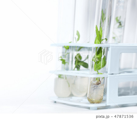 Biotechnology Research 47871536
