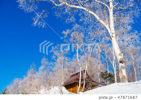 風景物語（志賀高原の冬） 47871687