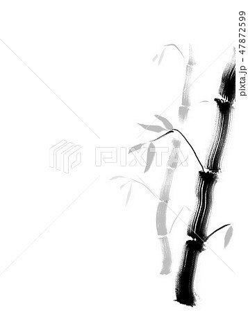 竹林 竹林 47872599