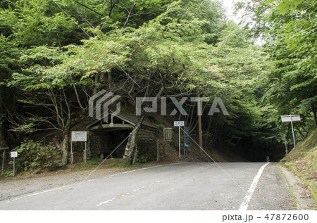 佐々里峠 47872600