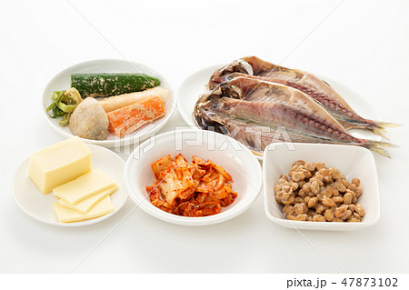 発酵食品 発酵食品 47873102