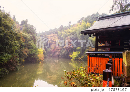 autumn leaves and shrine in Fushimi Inari autumn leaves and shrine in Fushimi Inari 47873167