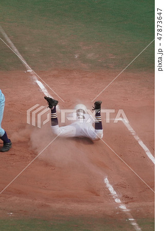 野球 野球 47873647