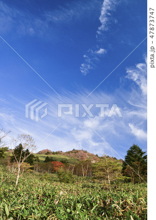 紅葉の瓶ヶ森を見上げて 紅葉の瓶ヶ森を見上げて 47873747