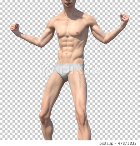 Male anatomy muscle 3DCG illustration material 47873832