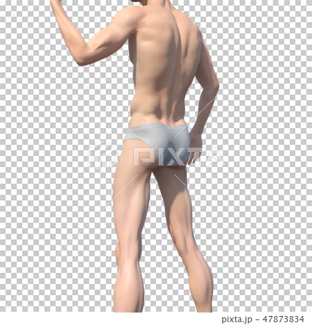 男性解剖學肌肉3DCG例證材料 47873834