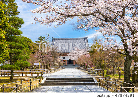Kyoto, Japan at Chishaku-in Temple 47874591