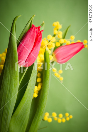 Spring bouquet with red tulip and mimosa 47875010