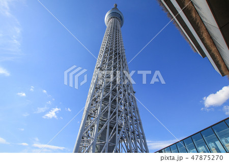 東京スカイツリー 東京スカイツリー 47875270