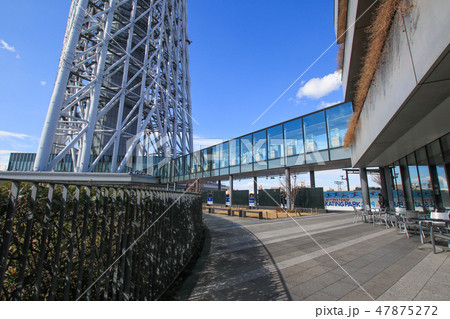 東京スカイツリー 47875272
