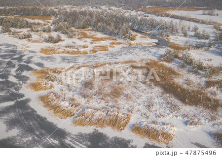 Aerial view of the winter snow covered forest Aerial view of the winter snow covered forest 47875496