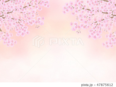 桜 47875612