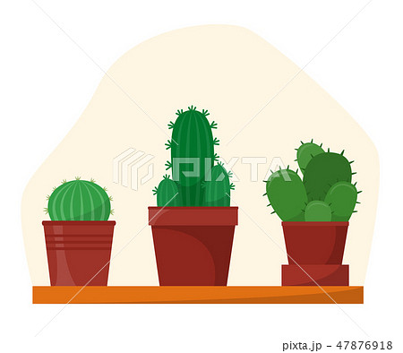 Cactus set in flat style, home plants in pots, on 47876918