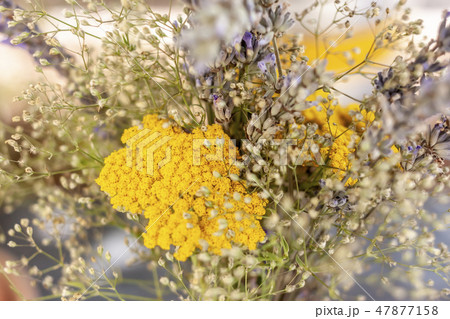 closeup bouquet of spring wildflowers from field 47877158