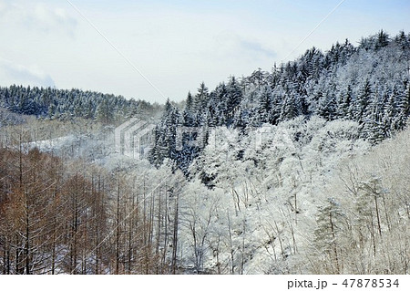 冬の小本街道外山の朝 冬の小本街道外山の朝 47878534