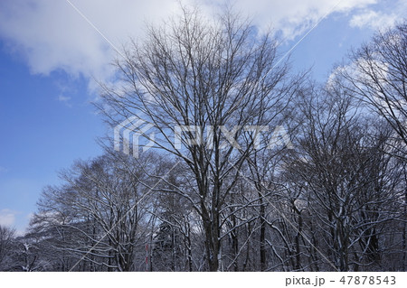 冬の小本街道外山の朝 冬の小本街道外山の朝 47878543