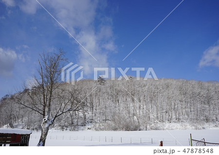 冬の小本街道外山の朝 冬の小本街道外山の朝 47878548