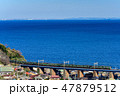 海とE231系東海道本線 47879512