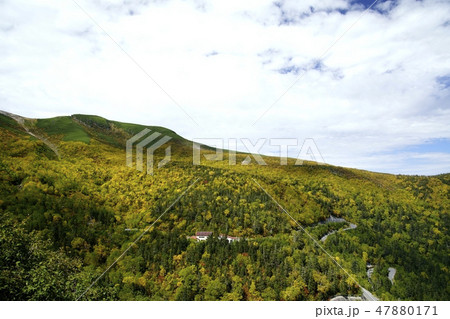 9月、紅葉の乗鞍岳（撮影地：乗鞍エコーライン、肩の小屋口→位ヶ原） 47880171