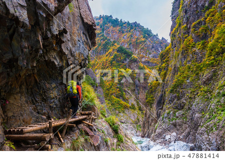 下ノ廊下 トレッキング 下ノ廊下 トレッキング 47881414