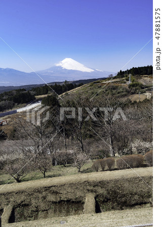 山中城から望む富士山 47881575