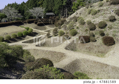 山中城跡 山中城跡 47881589