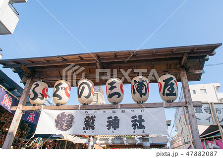 東京都　浅草　鷲神社（おおとりじんじゃ）　酉（とり）の市　三の酉 47882087