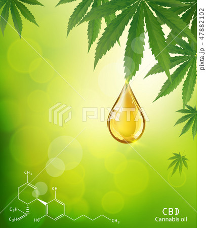Marijuana plant and cannabis oil drop vector. Marijuana plant and cannabis oil drop vector. 47882102