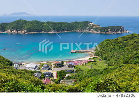 頭ヶ島天主堂 47882306